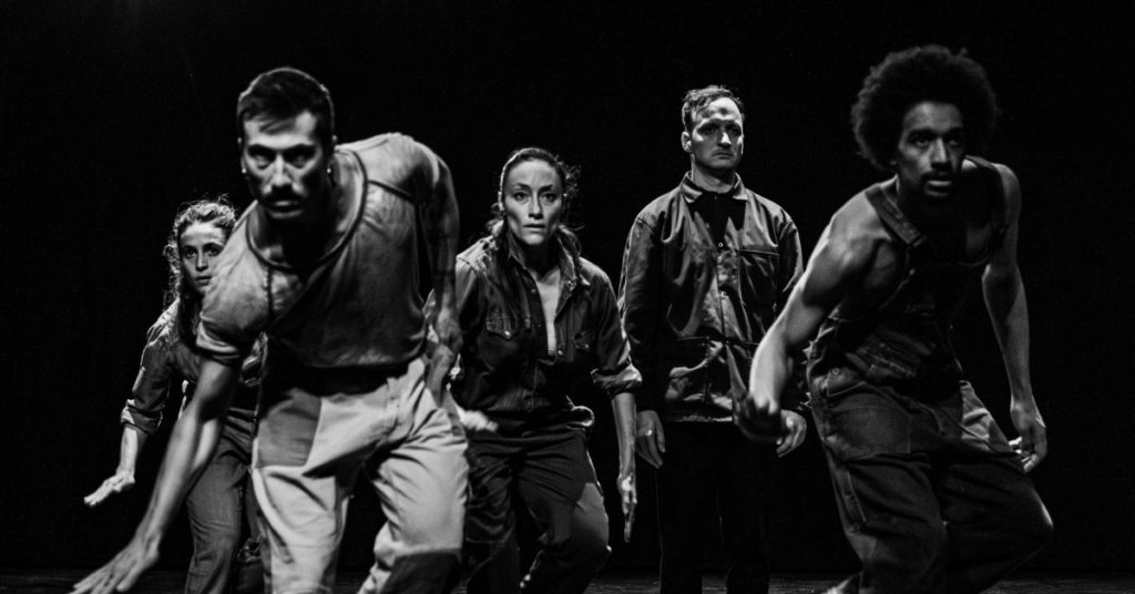 Cinq interprètes occupent la scène dans une formation resserrée, avançant d’un même élan vers le public. Leurs postures engagées, leurs regards intenses et leurs mouvements synchronisés traduisent l’énergie collective propre au stepping, où le corps devient instrument de percussion. La photographie en noir et blanc met en valeur la force physique, la précision rythmique et les dynamiques de groupe qui sont au cœur du spectacle Isicathulo.