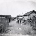 CHAÂBA, DU BLED AU BIDONVILLE